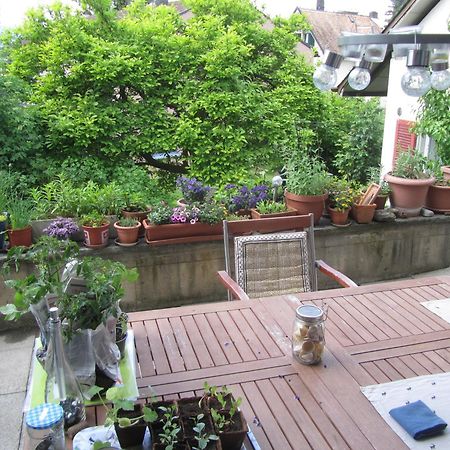 Guest Room Zollikon Zuerich Екстериор снимка